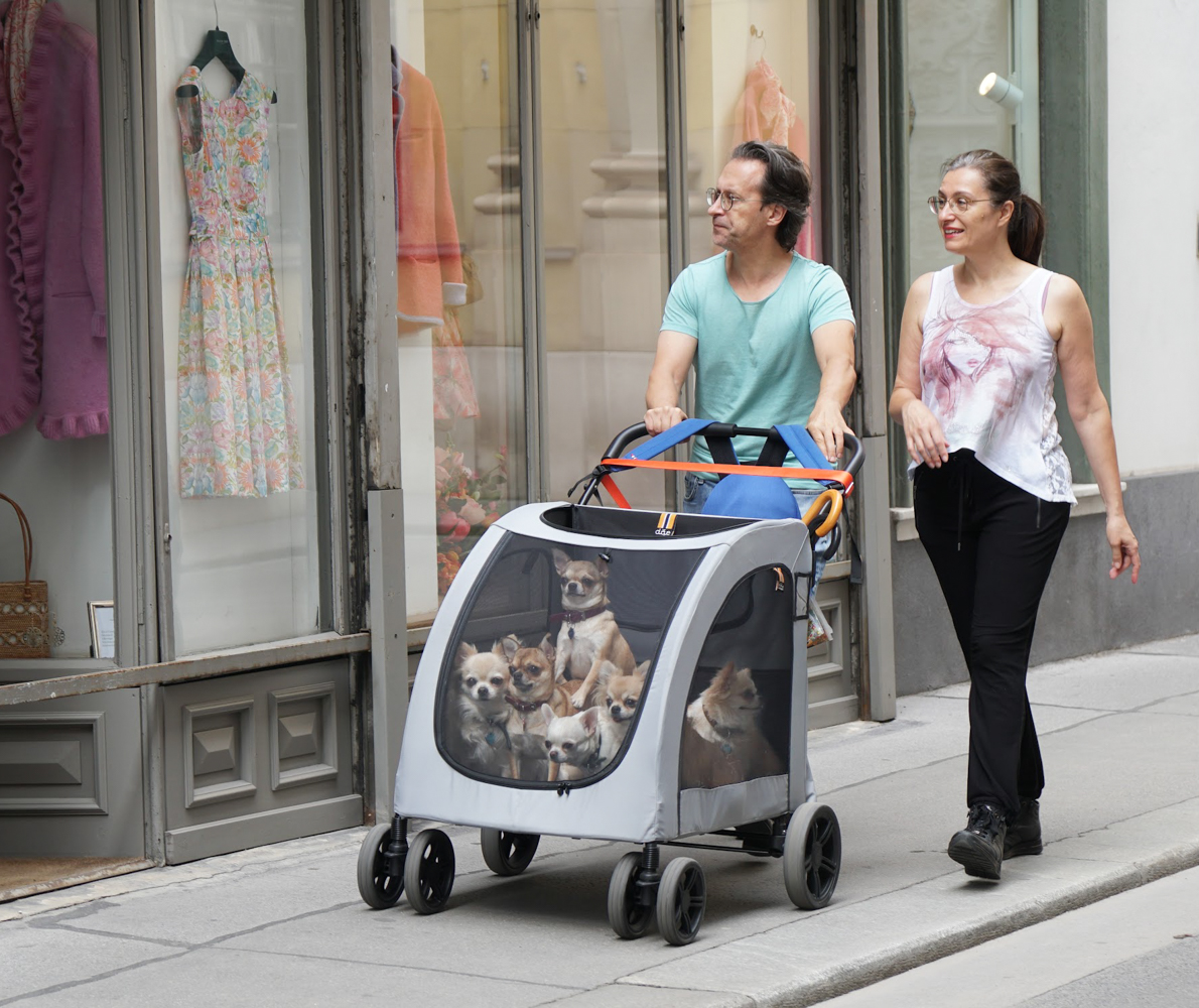 Dog Walking by Edward Goldenberg (Group 3)